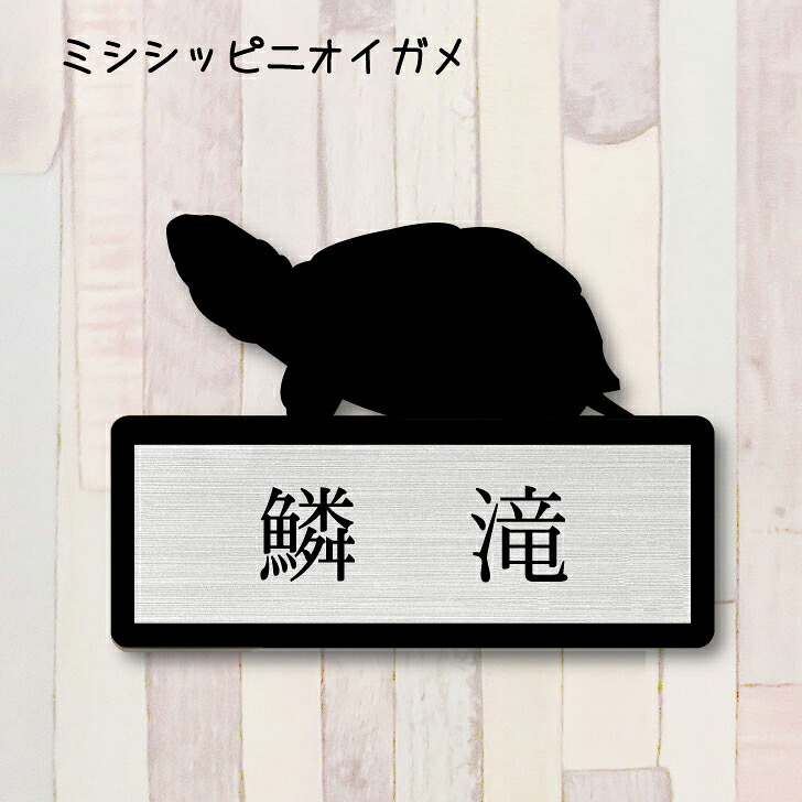 楽天市場 送料無料 表札 ミシシッピニオイガメ ｍサイズ かわいい ネームプレート ペット 爬虫類 亀 カメ グッズ マンション アパート 戸建て 引っ越し 取付 簡単 お祝い プレゼント 映え 映える ギフト 彫刻 安い オシャレ 宅配ボックス ポスト 新築 Mo U Ra