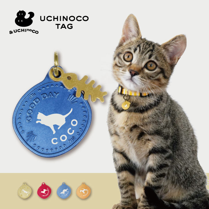 迷子札 Uchinocoタグ ドッグタグ 名入れ グッズ ペット 名札 軽量 極小 軽い ネームタグ かわいい おしゃれ 首輪 鳥 猫 犬 ワンコ ニャンコ フェレット トカゲ キーホルダー Sale 79 Off