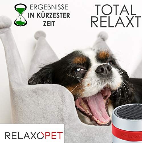 Relaxopet Pro 犬用品 犬 Dog の犬がリラックスしたドイツ新技術 犬 いぬ わんこ むだ吠え 留守番 飛行機 飛行機 雷 無駄吠え 防止 グッズ ｍｏａセレクト