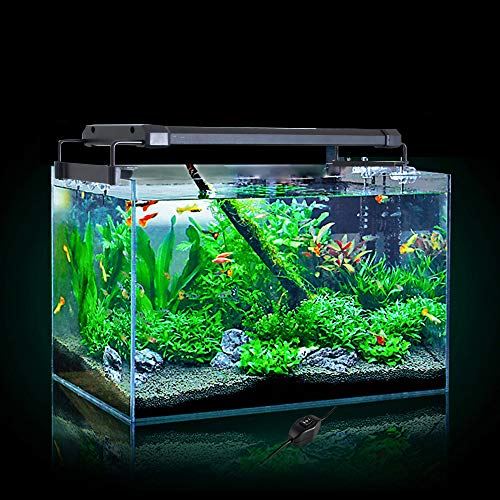 超明るい 水草育成 アクアリウム Szbritelight 2色ledライト 水槽ライト 観賞魚飼育 省エネ16w 50 70cm対応 水草育成 50 70cm対応 エアーポンプ 90led 2色 50 70cm対応 スマホケースのmoaセレクト 超薄い 水槽照明 90led 長寿命 白 青 超明るい 水草育成 アクアリウム Szbritelight 2色ledライト 水槽ライト 観賞魚飼育 省エネ16w 50 70cm対応 水草育成 50 70cm対応 エアーポンプ 90led 2色 50 70cm対応 スマホケースのmoaセレクト 超薄い 水槽照明 90led 長寿命 白 青