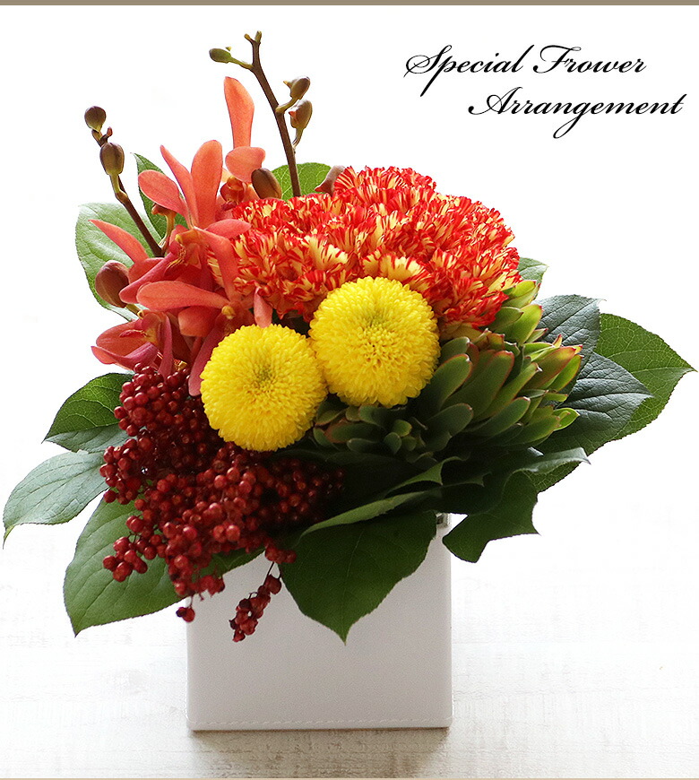 アレンジメント カーネーション モカラ ピンポンマム ペッパーベリー リューカデンドロ レモンリーフ を使った アレンジメント Mgpadel Com