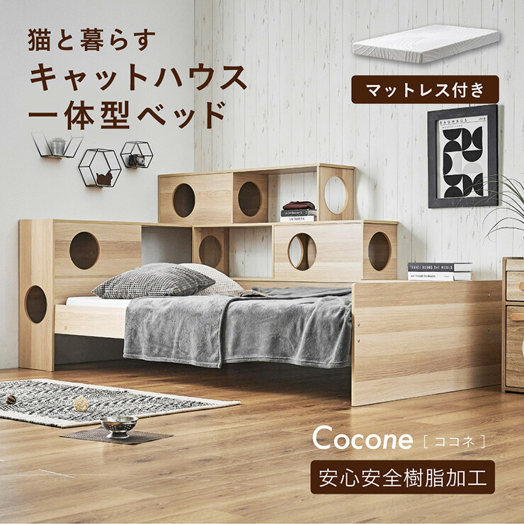 NERUS × smart-i 続きもの2026