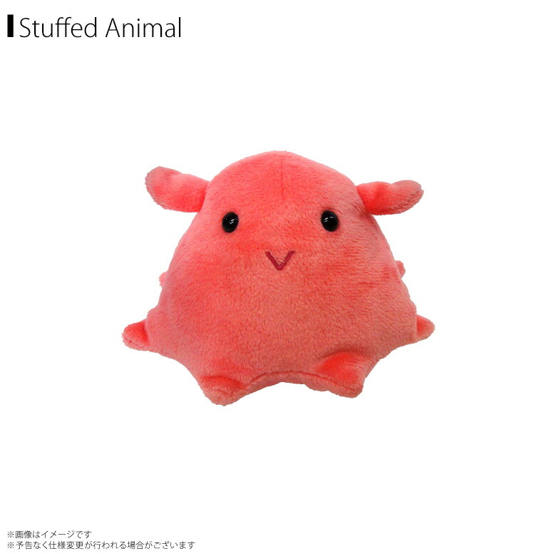 楽天市場】【ぬいぐるみ】【まとめ買い】メンダコちゃん