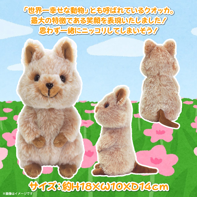 楽天市場 即納 在庫あり ぬいぐるみ クオッカ クアッカワラビー ブラウン Sサイズ P 7142 Fluffies フラッフィーズ アニマル 動物 もふもふサンレモン 定形外郵便のみ送料無料 モバイルランド