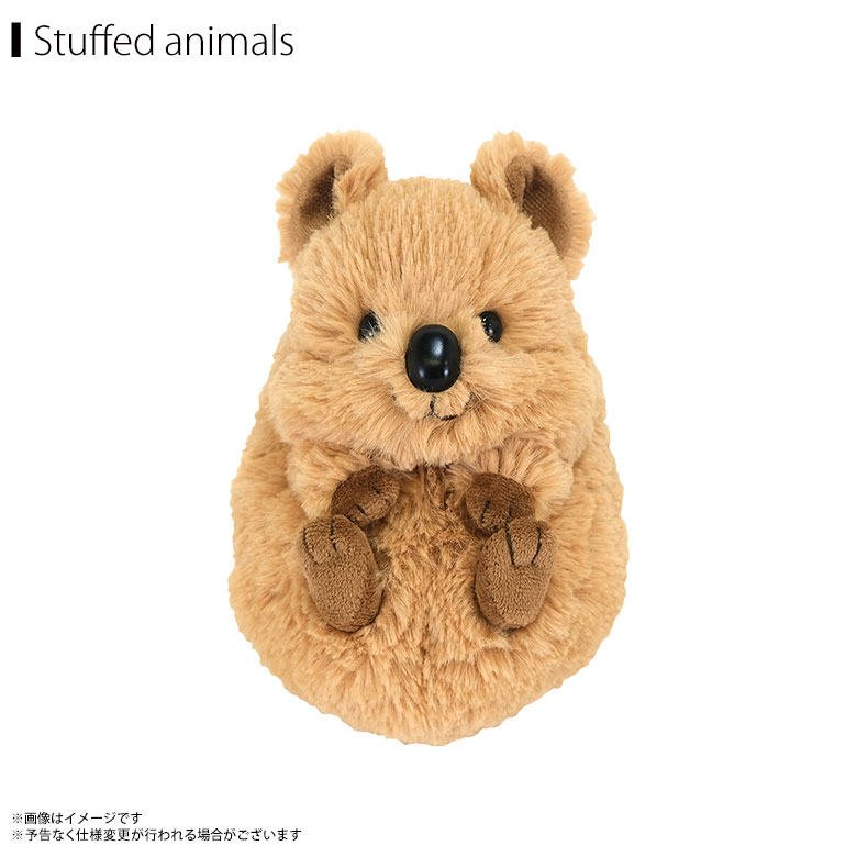 楽天市場】【1月28日まで全品ﾎﾟｲﾝﾄ2倍】キキクオッカ KiKi QUOKKA