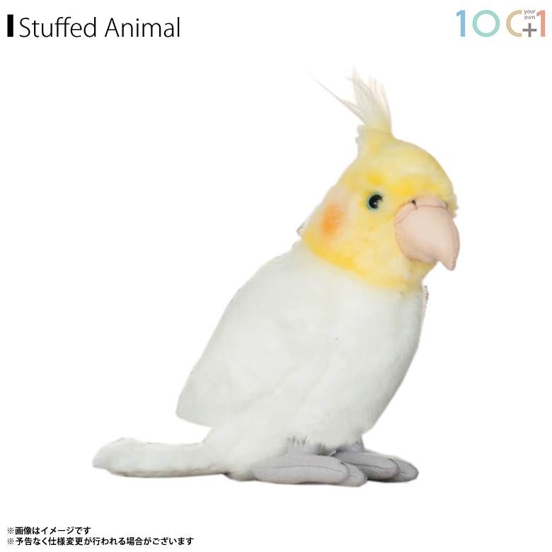 楽天市場】ぬいぐるみ ボタンインコ ＜10 C+1シリーズ＞ sm146