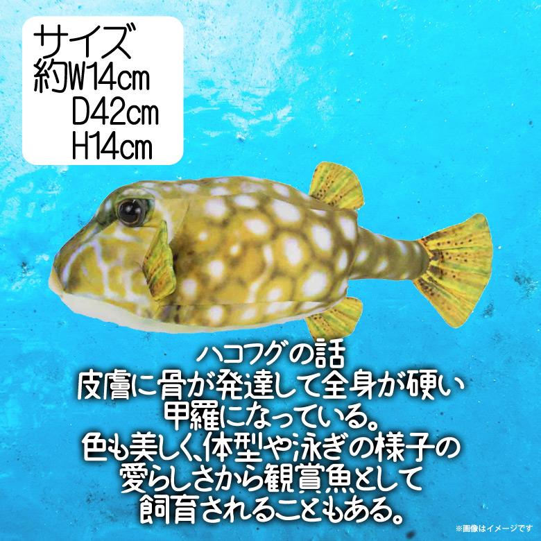 楽天市場 ぬいぐるみ 魚 ハコフグ メス さかなくんプロデュース Sk003 おさかなぬいぐるみ 海の生き物 リアル イエロー太洋産業貿易 宅配便配送 モバイルランド