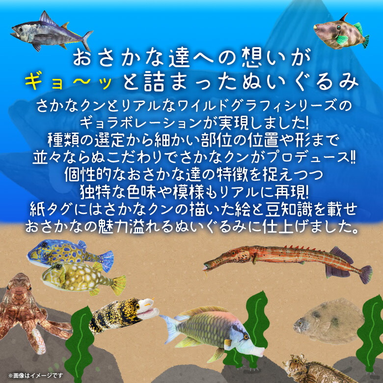 無属性　ぬいぐるみ　オリジナル　ハンドメイド　星屑の人魚くん 送料無料 ぬいぐるみ 魚 ピラルク 淡水魚 さかなくん