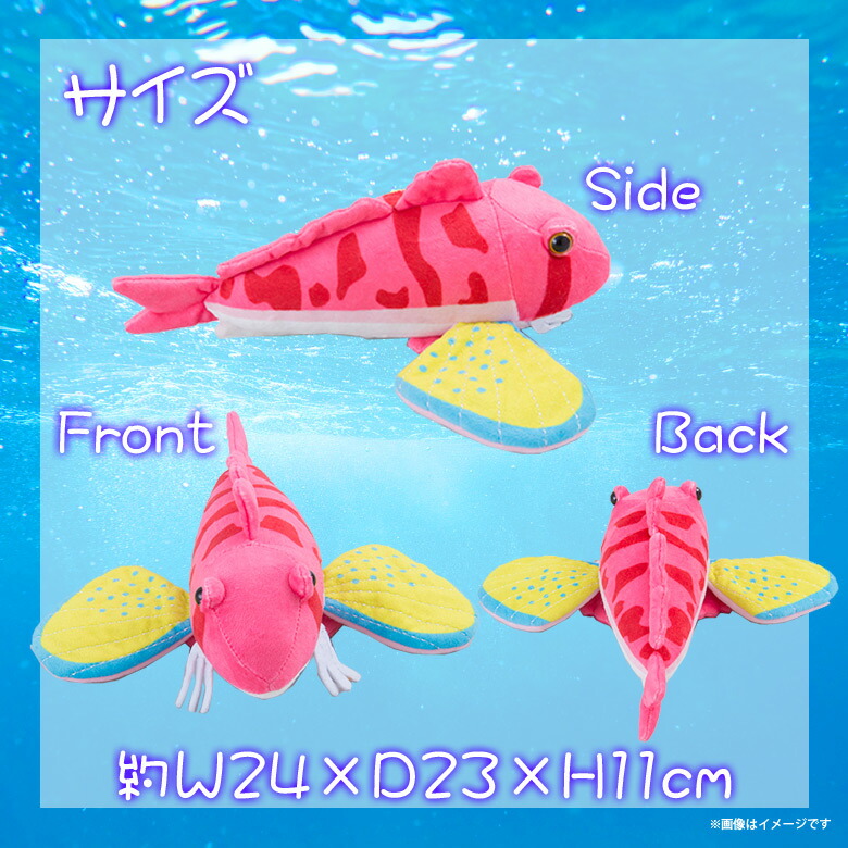 楽天市場 ぬいぐるみ 魚 ホウボウ Ha002 0211 100 1 Sea 海に暮らす生き物たち カサゴ Sサイズ 太洋産業貿易 宅配便配送 モバイルランド