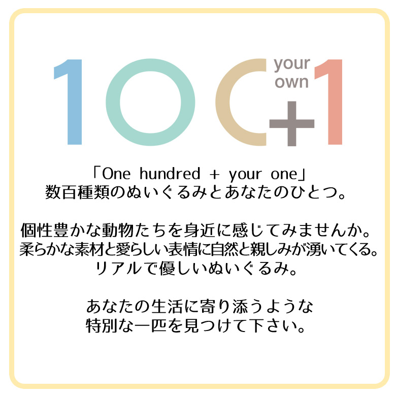楽天市場 ぬいぐるみ 魚 ホウボウ Ha002 0211 100 1 Sea 海に暮らす生き物たち カサゴ Sサイズ 太洋産業貿易 宅配便配送 モバイルランド