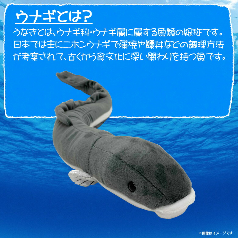 楽天市場 ぬいぐるみ 魚 ウナギ うなぎ Ha008 0273 100 1 Sea 海に暮らす生き物たち Sサイズ太洋産業貿易 宅配便配送 モバイルランド