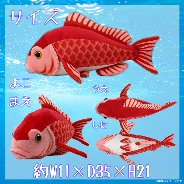 楽天市場 ぬいぐるみ マダイ 真鯛 魚 Ha014 0501 100 1 美味しい魚シリーズ 魚屋さん お寿司屋さん 海 釣り太洋産業貿易 宅配便配送 モバイルランド