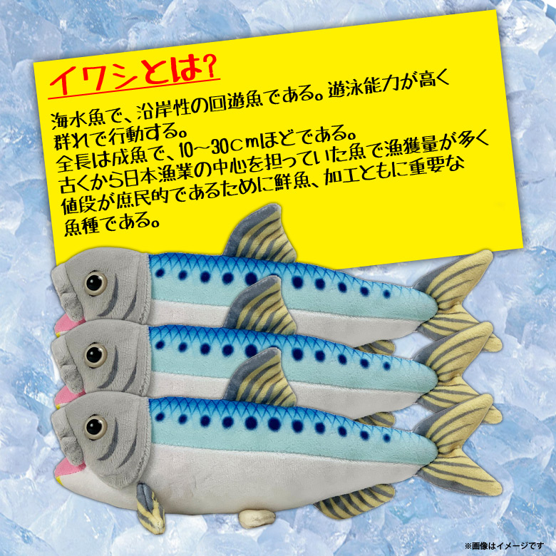 楽天市場 ぬいぐるみ イワシ 鰯 魚 Ha018 0549 100 1 美味しい魚シリーズ 魚屋さん お寿司屋さん 海 釣り太洋産業貿易 宅配便配送 モバイルランド