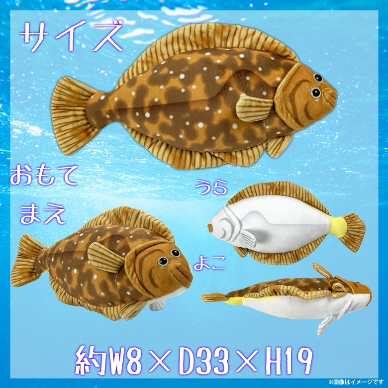 楽天市場 ぬいぐるみ カレイ 鰈 魚 Ha019 0556 100 1 美味しい魚シリーズ 魚屋さん お寿司屋さん 海 釣り太洋産業貿易 宅配便配送 モバイルランド