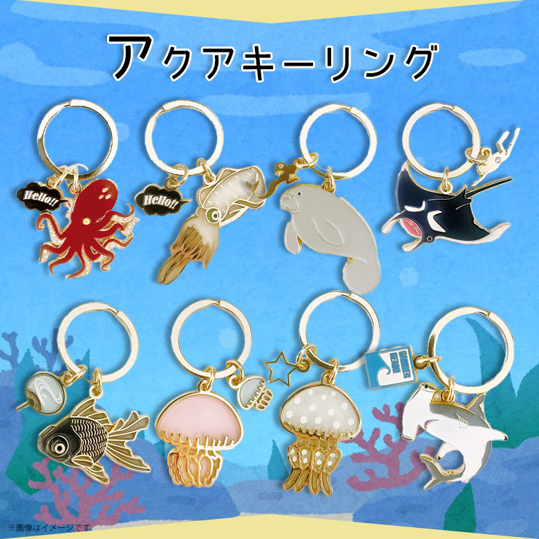 可愛いアニマル青チェック AZONE INTERNATIONAL::えっくす☆きゅーと