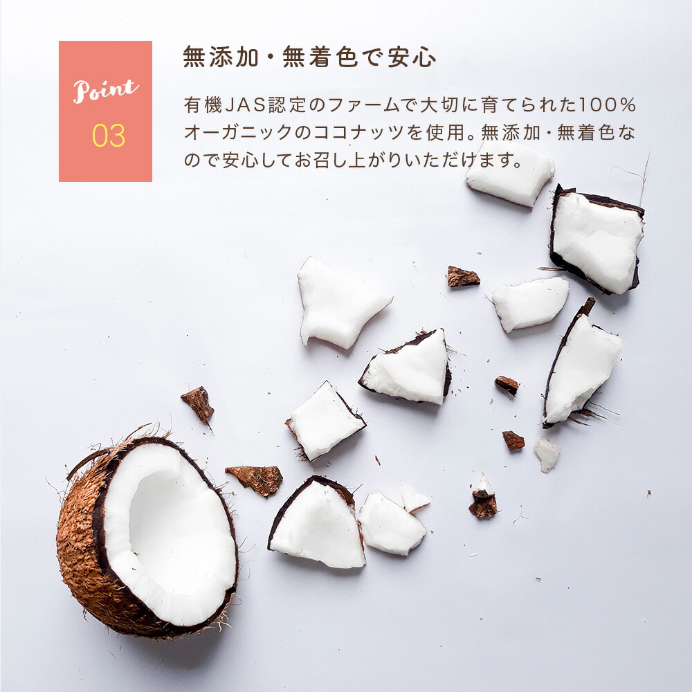 ココナッツミルクパウダー 100g,粉末,椰子の実,ココヤシ,Coconut Milk