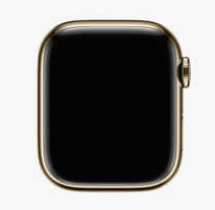 【超美品・バンドなし】Apple Watch9 45mm GPS+Cellularモデル [ゴールドミラネーゼループ] 【日曜日以外即日発送】【送料無料】