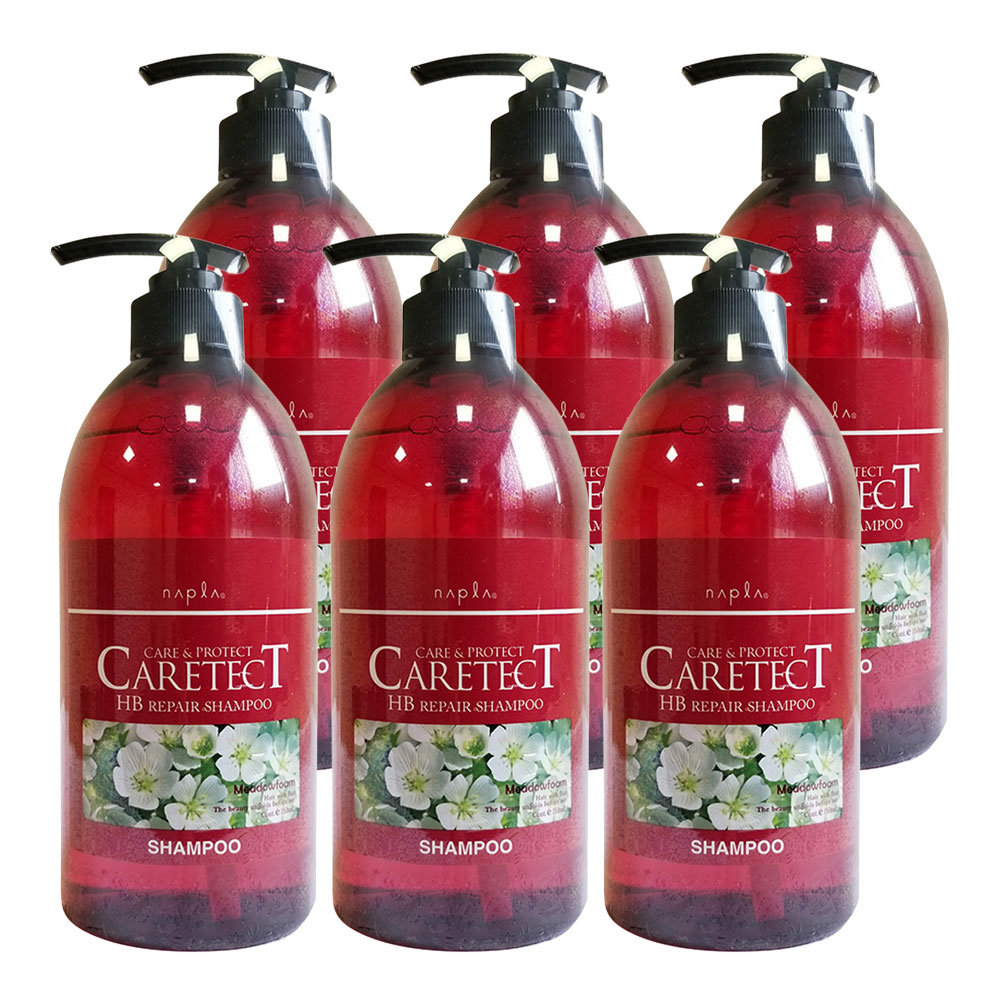 6個セット ケアテクトＨＢリペアシャンプー 750ml napla ナプラ ヘアケア 国内正規品 10,320円