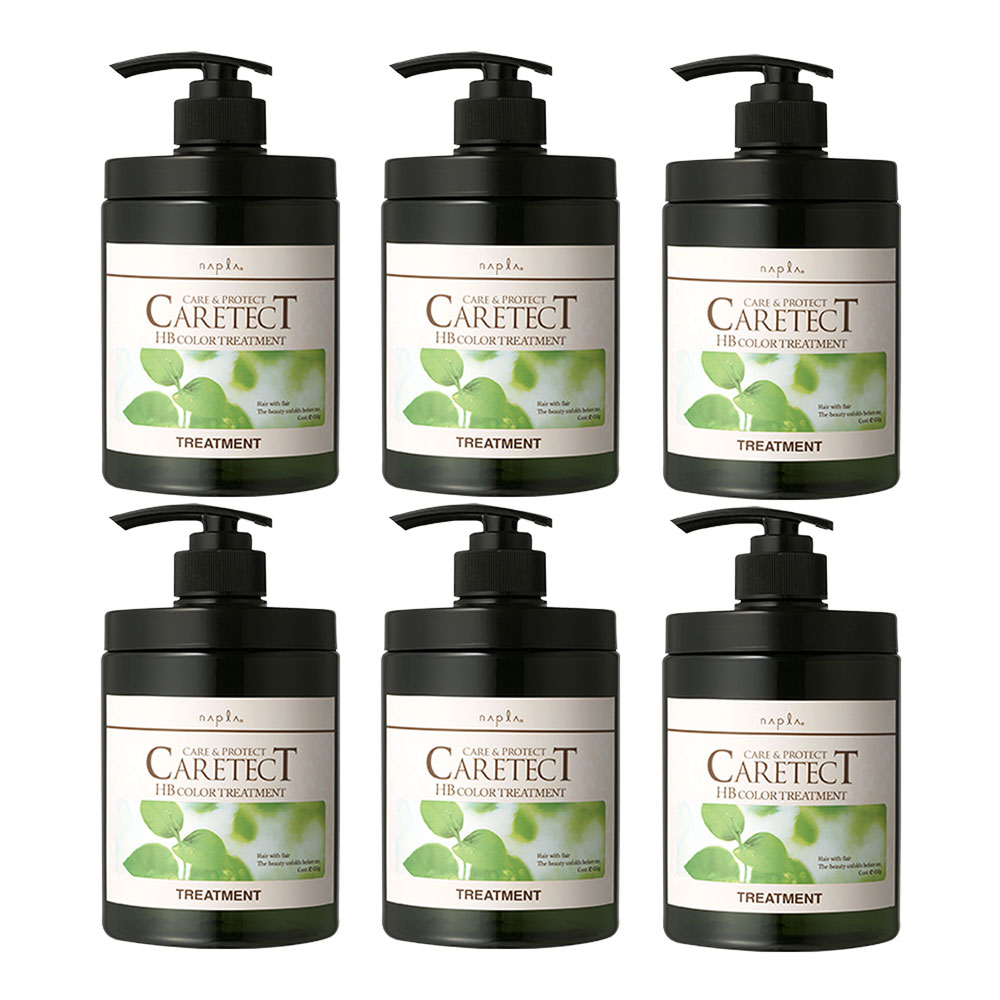 6個セット ナプラ napla ケアテクトHB カラートリートメントV ハリ・コシ タイプ 650g ノンシリコン ヘアケア CARETECT Vタイプ 国内正規品｜ビューファ