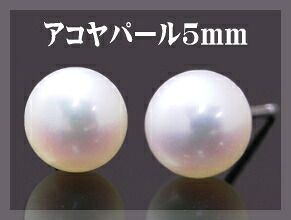 【送料無料】K14WG アコヤ パール 丸球 ピアス 5mm【6月誕生石】※pema|ジュエリーメビウス