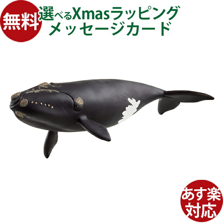 楽天市場】【シュライヒ専門店】シュライヒ マッコウクジラ 14764 動物