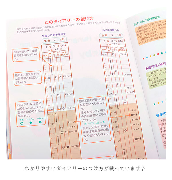 市場 育児日記 はらぺこあおむし 家族 かわいい ジャッキー 1年 ベビーダイアリー Moomin 1歳 積み木 くまのがっこう ムーミン シンプル キャラクター くまの学校