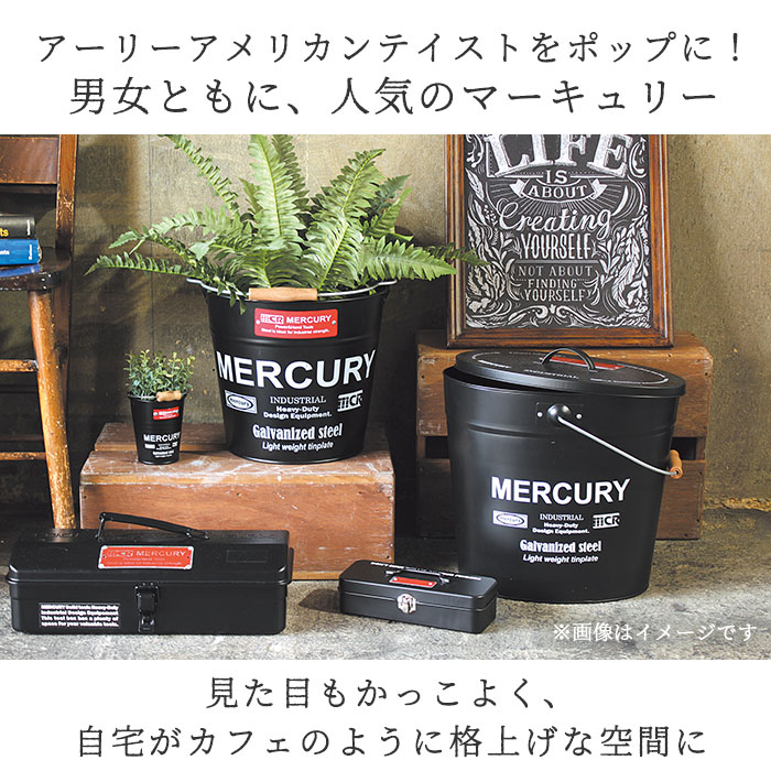 21年レディースファッション福袋 マーキュリー バケツ 楽天 レギュラー ブリキ ガーデニング おしゃれ シンプル Mercury 男前 ゴミ箱 ダストボックス ダストビン アメリカン かっこいい 収納 Diy 掃除用品 Griswoldlawca Com