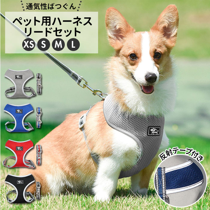 楽天市場 犬 リード ハーネス セット 楽天 胴輪 小型犬 可愛い ハーネスリード 犬用 中型犬 ペット用品 いぬ おしゃれ 散歩 反射 丈夫 シンプル かわいい お散歩 Backyard Family インテリアタウン