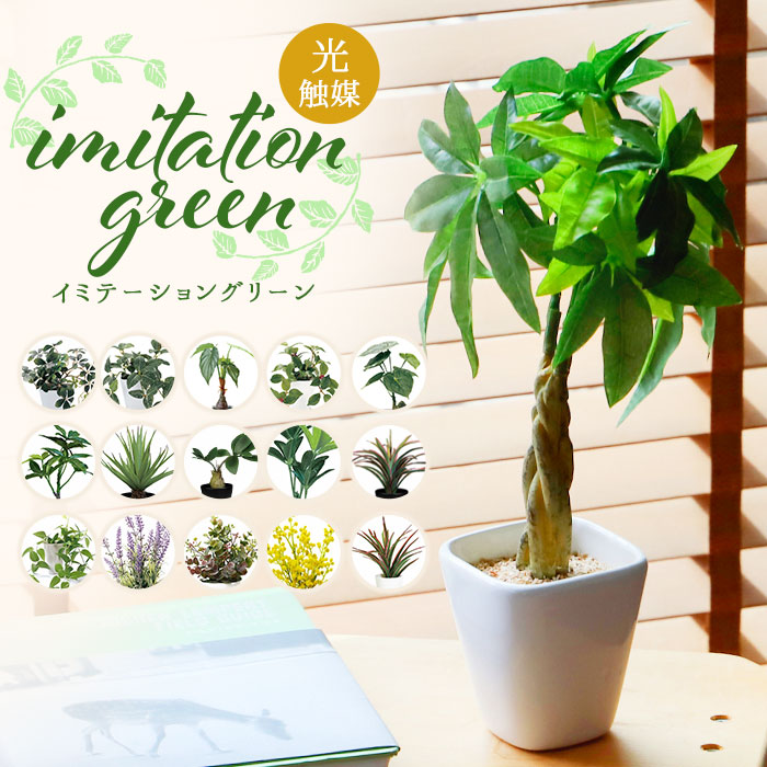 楽天市場】光触媒 フェイクグリーン 通販 壁掛け イミテーション