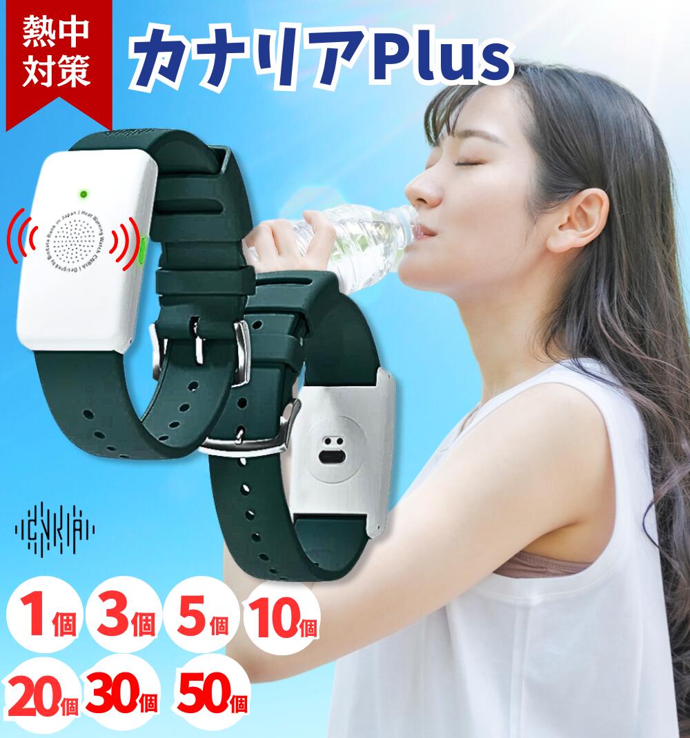 楽天市場】カナリア カナリアPlus 2025年モデル 熱中対策