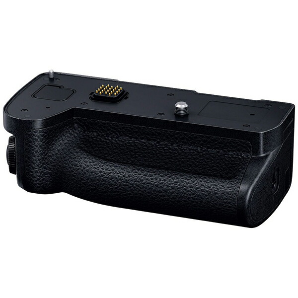 パナソニック DMWBGS5 乾電池手持ち部分 DMW-BGS5