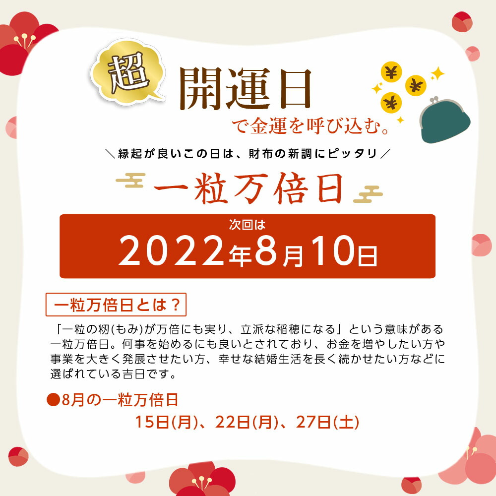 【レビューを書いて20%OFFクーポンGET】スマホポーチレディーススマホ財布ミニ財布三つ折り二つ折りスキミング防止磁気リングバッグショルダーストラップポシェット3連ショルダースマホショルダーバッグマルチショルダーマルチケースおしゃれ可愛い