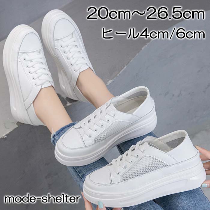 【300円OFFクーポン配布中】スニーカー 厚底 厚底スニーカー メッシュ ウェッジソール ダッド 20cm 20.5cm 21cm 21.5cm 22cm 22.5cm 23cm 23.5cm 24cm 24.5cm 25cm 25.5cm 26cm 26.5cm 白 小さいサイズ 大きいサイズ
