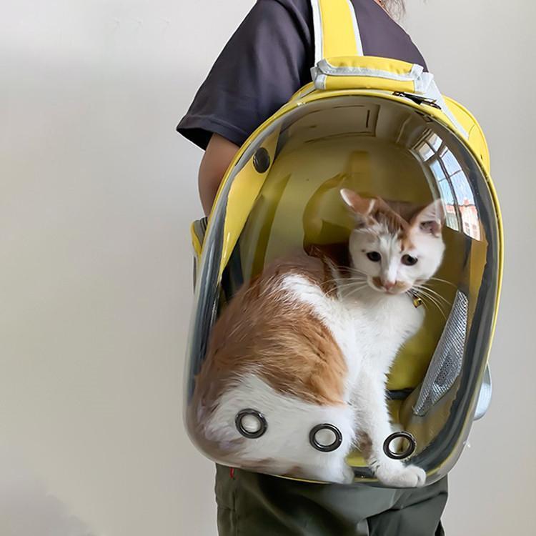 ペットキャリーバッグ 小型犬用 バックパックバッグ ペット キャリア 透明　安心 お散歩 スリングバッグ キャリーケース