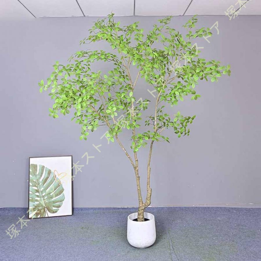 フェイクグリーン 鉢植え 祝い事 大型 観葉草木 如何様物 造花 実際的 今めかしい 枯れない 人工草木 鉢付き添い人 室内 室内装飾緑であること 水やり不必要 事務室