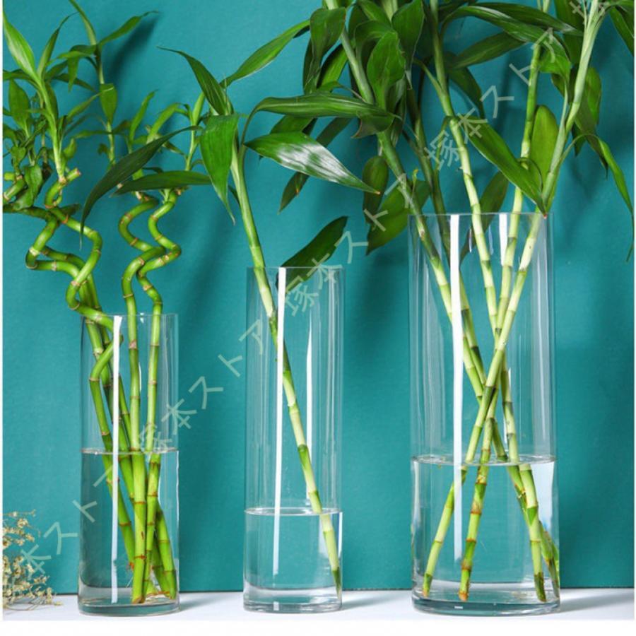 御花軍事基地 硝子 支柱 大層らしい 枝物 活け花 素っ気ない御花 フェイクグリーン 造花 枝 分かりやすい 花立て 花器 澄み切った せつ然たる 引っ切りない 円柱 室内装飾