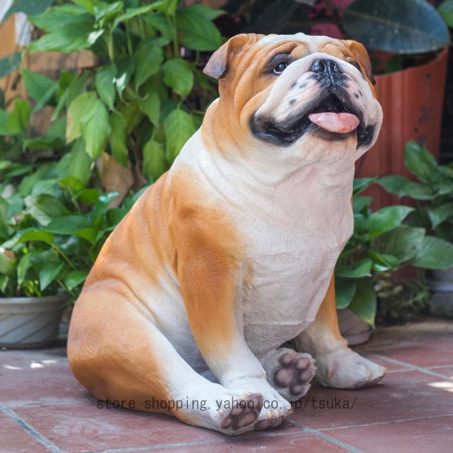 犬の飾り付け 大型 毛の荒物 刻みつける 秘密捜査員 飼い犬 毛の荒物 飾り付け 園地 室内装飾 雑貨 飾り付け 庭 オブジェ ガーデニング雑貨 飾り付け 愛くるしげ 屋内 戸外 花・ガーデン・DIY-ガーデンオーナメント・置物-エクステリア・ガーデンファニチャー