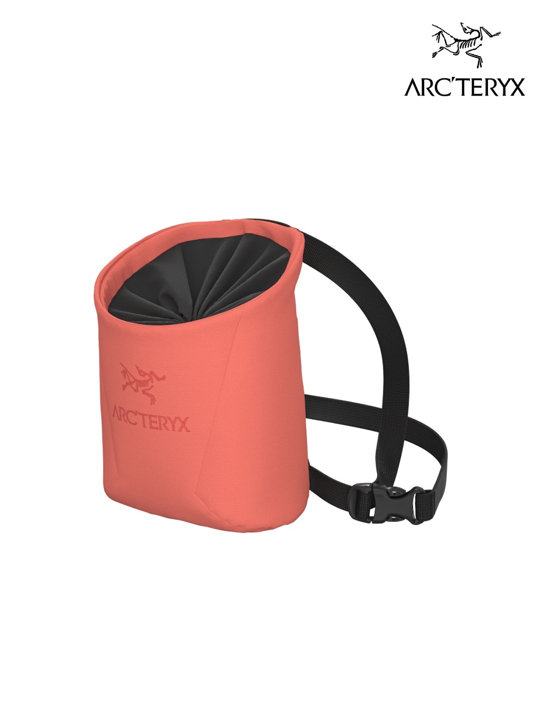 ARC\u0027TERYX アークテリクス｜Ion SL Chalkbag #Reef [X00001036403] イオン SL 車輪止め御徒面子
