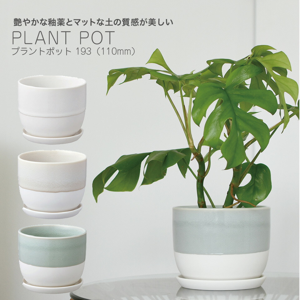楽天市場 プラントポット 193 径110mm Plant Pot ホワイト ベージュ ブルーグレー 植木鉢 観葉植物 日本製 一人暮らし ひとり 一人 二人暮らし Euセレクション