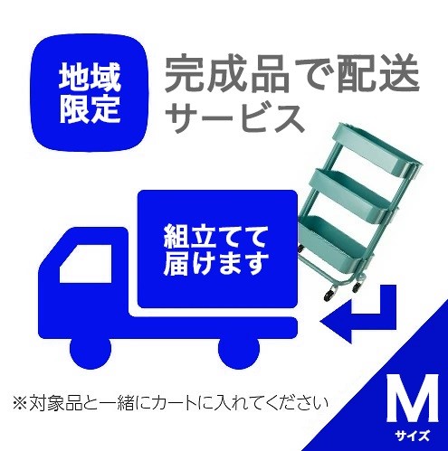 【ポイント2倍】 【500円クーポン付】 完成品配送サービス券 Mサイズ （北海道 沖縄 離島除く）