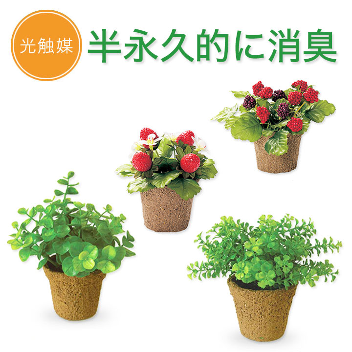 光触媒 人工観葉植物 抗菌消臭 ウォールグリーン 胡蝶蘭3F8150の+