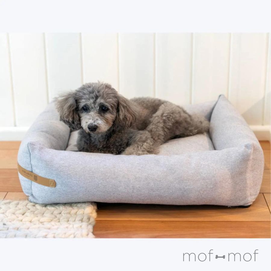 【貨物輸送無料】BBR ボックス席臥榻 薄墨色 S/M ドッグベッド 分かりやすい 犬用 愛玩動物 洗い濯ぎできる 思わしい  オシャレ 室内装飾 臥榻 北欧 高品質 はたご屋界面 犬 小型犬 中型犬 今めかしい 分かりやすい Bowl\u0026Bone Republic モフモフ