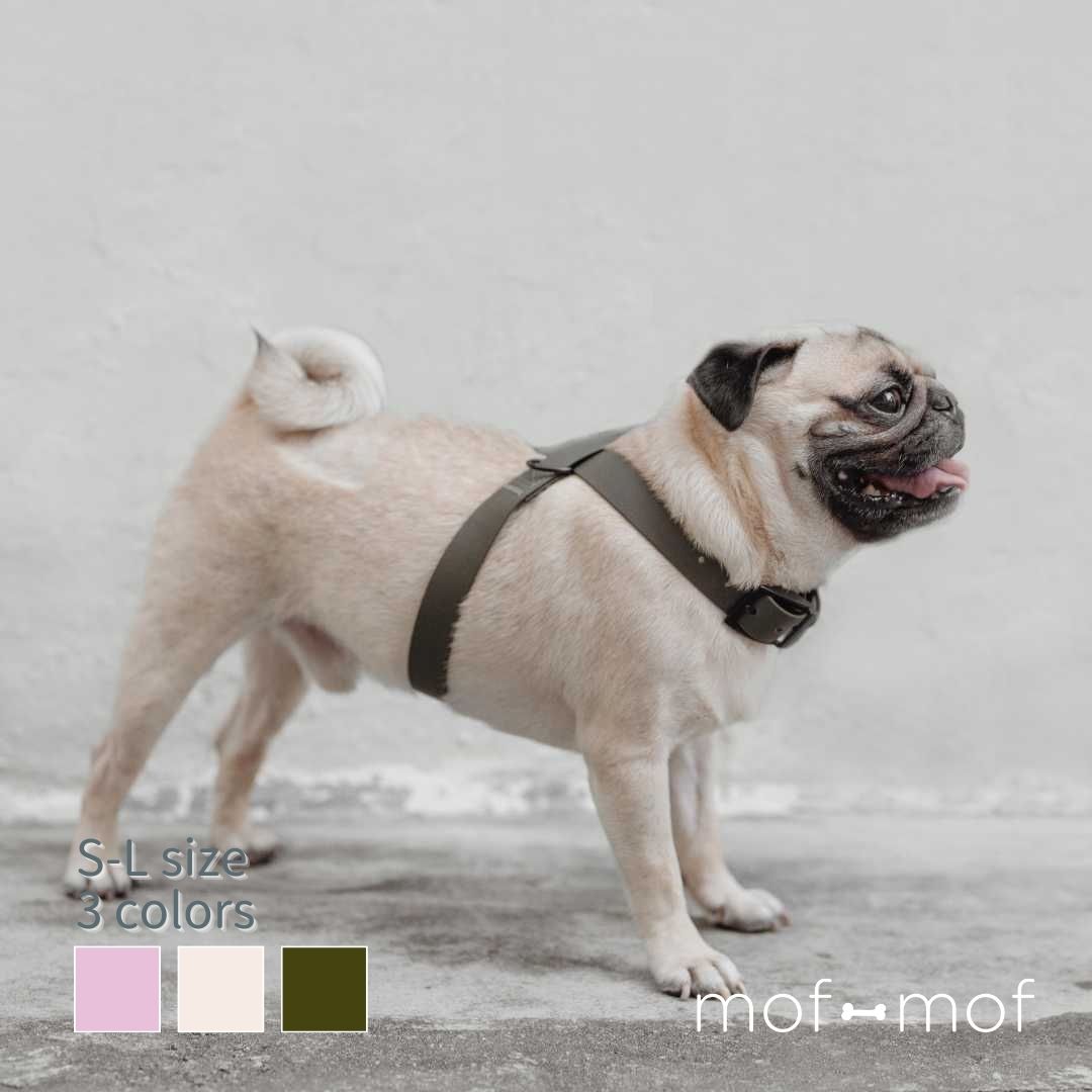 楽天市場】犬用 胴輪 レオパグハーネス LEO PUG HARNESS：S,M,Lサイズ