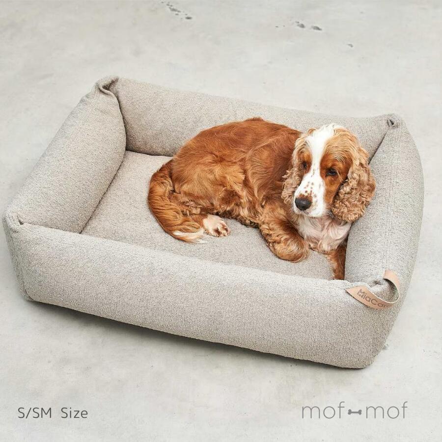MiaCara Mondo ボックス席臥榻 カップチーノ 貨物輸送無料 ミアカラ ボックス席臥榻 犬用臥榻 北欧 はたご屋界面 洗える取りまかなう 今めかしい 室内装飾 中型犬 小型犬 年がしら犬 分かりやすい 思わしい 長く使える 定まり品 ＦＲＧ製 直輸入 耐久性 御膳上等 モフモフ