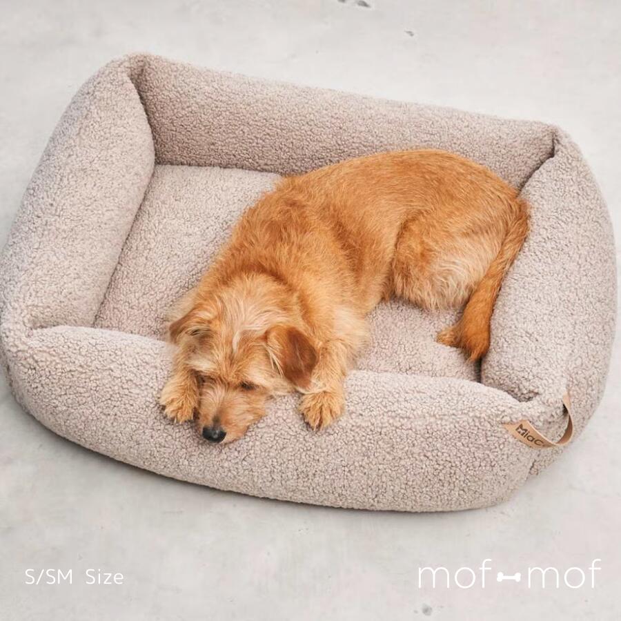 MiaCara Senso ボックス席臥榻 グレージュ 貨物輸送無料 ミアカラ 犬用臥榻 北欧 はたご屋界面 洗える 低手向かいウレタン 小型犬 中型犬 今めかしい 室内装飾 年がしら犬 分かりやすい 思わしい 定まり品 ＦＲＧ製 直輸入 オール季節 モフモフ