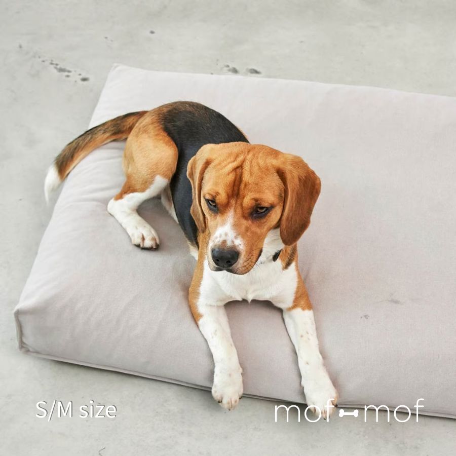 MiaCara Comodo 座蒲団寝台 グレージュ 犬用寝台 高品質 分かりやすい  取りまかなうを洗い濯ぎ機で洗える 分かりやすい 思わしい ＦＲＧ製 犬寝台 へたらない 春夏 秋冬 座蒲団 住み家 愛玩動物用 オール時季 布団 つや消し モフモフ