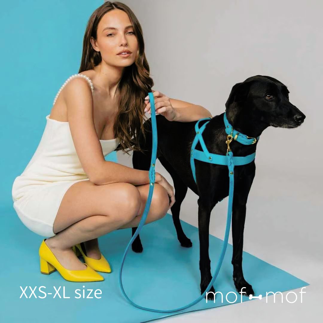 楽天市場】boo'oh リード一体型 Ray ハーネス ハンズフリー ブラック