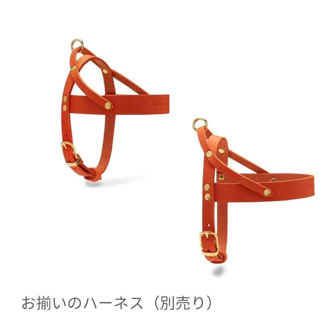 送料無料 リード おしゃれ お出かけ お散歩 かわいい インポート オレンジ シンプル スタイリッシュ ペット レザー 中型犬 北欧 小型犬 散歩 本革 正規品 海外ブランド 犬 長め 国産 オレンジ