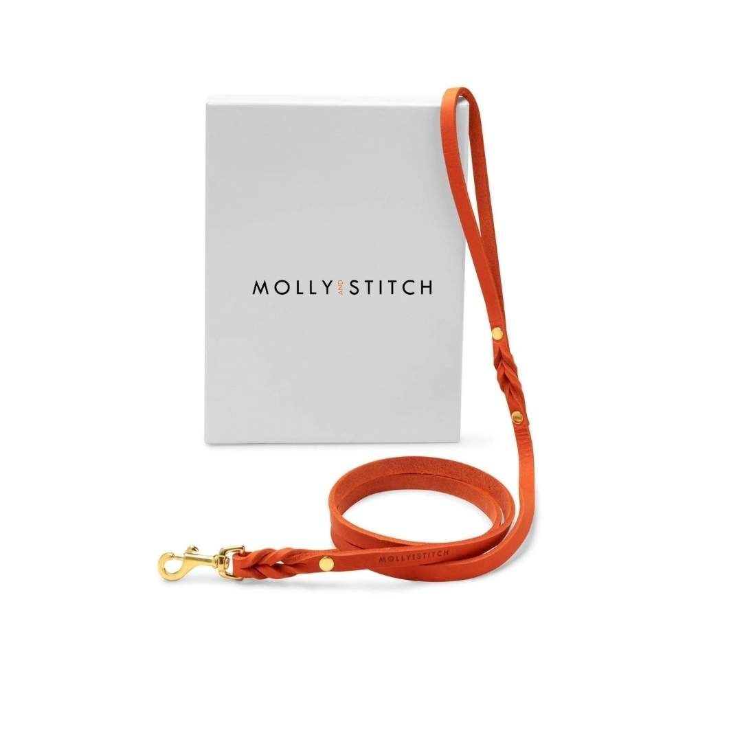 送料無料 リード おしゃれ お出かけ お散歩 かわいい インポート オレンジ シンプル スタイリッシュ ペット レザー 中型犬 北欧 小型犬 散歩 本革 正規品 海外ブランド 犬 長め 国産 オレンジ