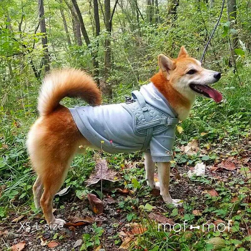 送料無料 サイズ交換ok ドッグウエア Aプリントフーディ お散歩グッズ 北欧 インポート 防寒 柴犬 犬 犬用 犬服 犬の服 小型犬 中型犬 おしゃれ しんぷる かわいい 海外ブランド ギフト プレゼント フード フード付き ドッグウェア ペットウェア ペット用 再入荷 予約販売